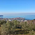 Flegi