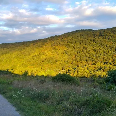 Feriehus Flegi Šmarje
