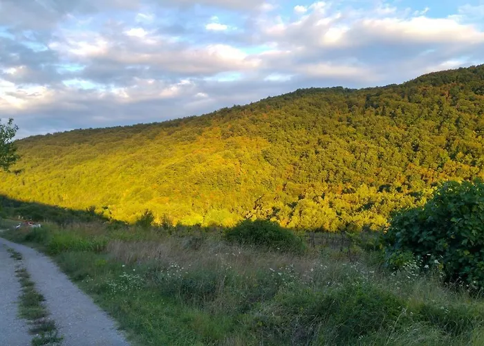 Vakantiehuis Flegi Šmarje